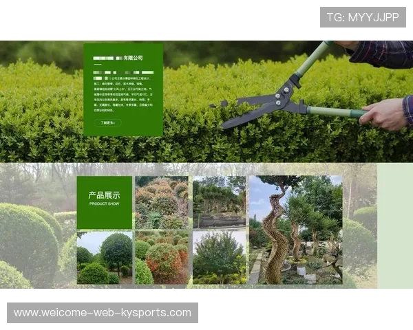 篮球赛事在中国数字营销课程中的教学案例,篮球的营销策略